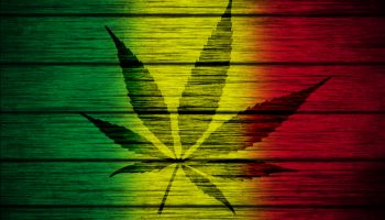 Marijuana Laws